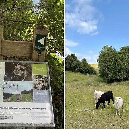 Sj341-sjolund-rugmarken-8 Feriehus Gronninghoved